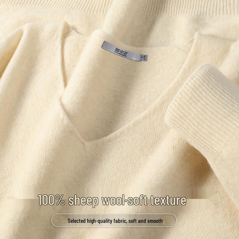 SNOWFLYING Women's 100% Merino Wool V-Neck Basic Knit Sweater