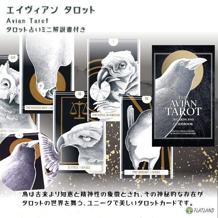 Avian Tarot Tarot Reading Instructions, Japanese Instruction Manual Included, Authentic Tarot Cards, 78 Birds