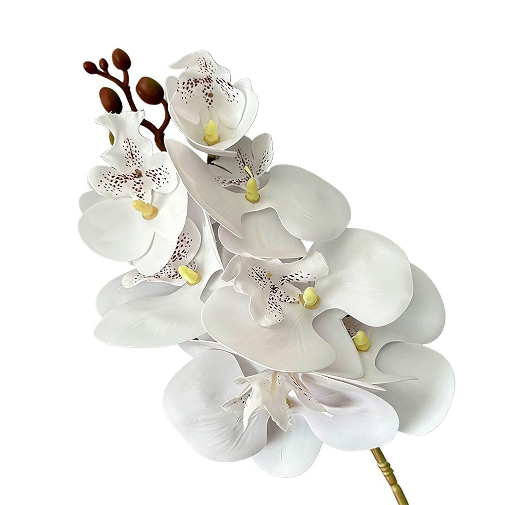 Butterfly Orchid Artificial Phalaenopsis Flower Long-lasting PVC Faux Orchid Stems Real Touch Single Branch Simulation Orchid
