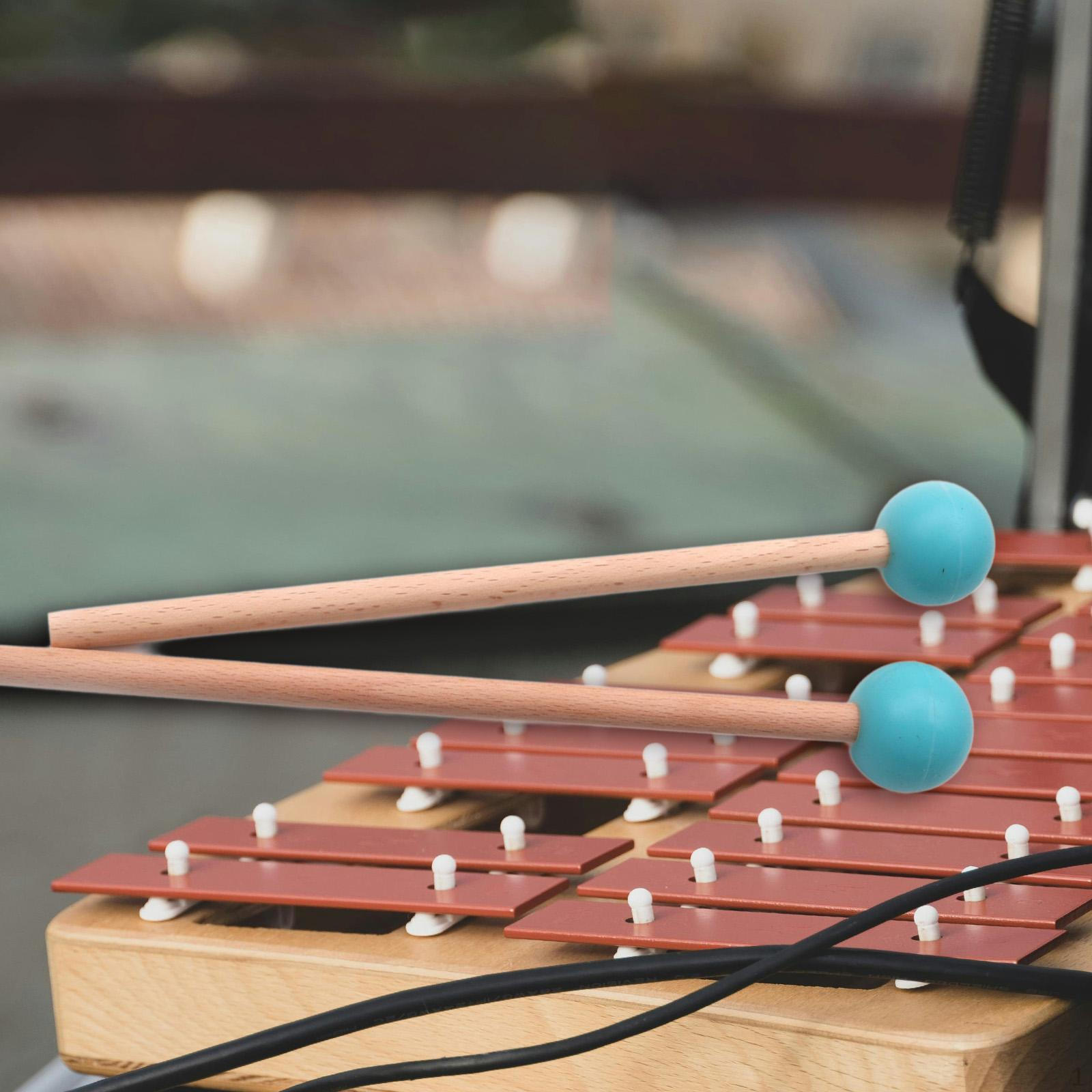 

2 деревянных молоточка для барабана, палочка для гонга, аксессуары для малого барабана, перкуссионные палочки для маримбы синий