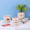 Ceramic Money Tree Succulent Vase: Peace & Joy Decorative Flower Pot for Home & Office.