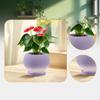 Ceramic Plant Pot ,Flower Outdoor Indoor, Round with Drainage Hole and Saucer Planter for Garden