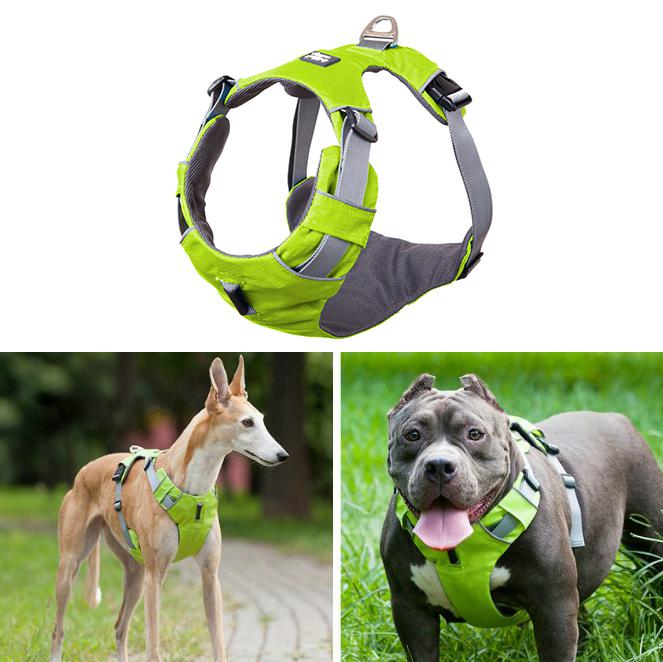 Brother cat dog harness Clearance