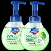 Safeguard Foaming Antibacterial Hand Wash, Green Apple (2-pack)
