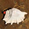 Street Stall Conch Shell Whistles & Toys: Creative Souvenirs