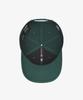 New Era Nhl Toronto Maple Leafs Basic Snapback Dark Green 15131638
