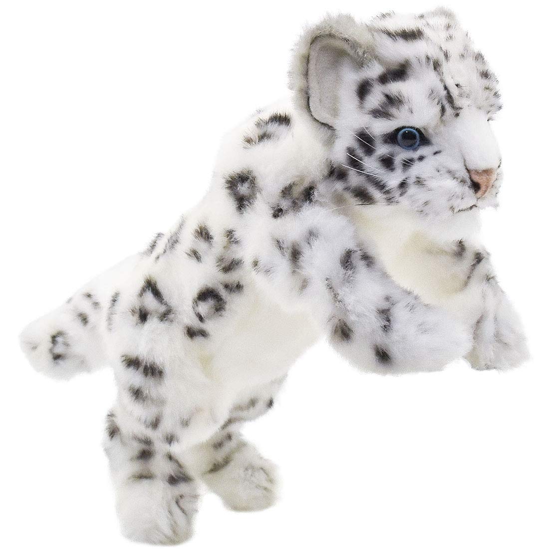 

Koyuki Leopard No.5409
