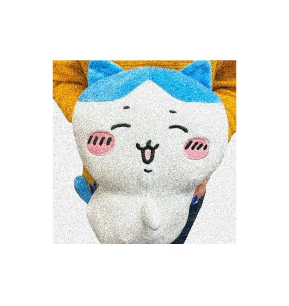 Butt-Shaking Big Plush Toy, Approx. 30cm, Official Merchandise (Hachiwa)