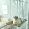 Cat Hammock Tree: Suction Cup Window & Balcony Perch for Sunbathing
