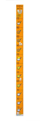 Little Bear's Easy Height Chart (Polar Bear's Hotcakes)