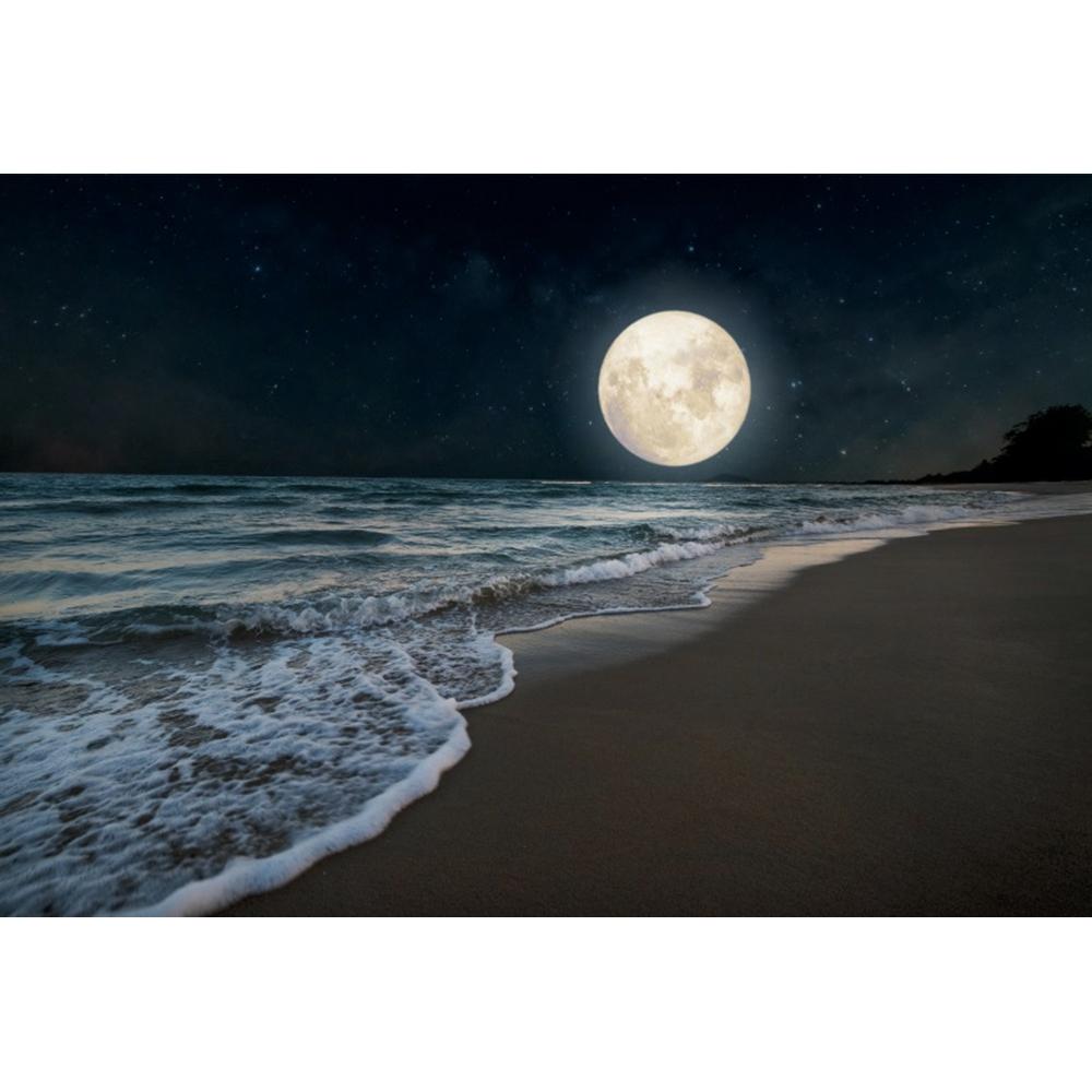 Background Photo with Beach Waves and Sunset, Summer Vacation, Ocean, Beach, Blue Sky, White Cloud, Sand, Photo Shoot