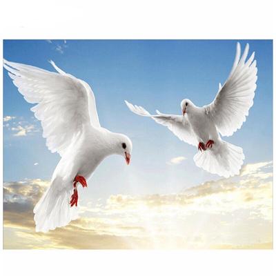 Kulatý vrták 5D Diy Diamantová malba Holubice Bird 5D Diamantové vyšívání Křížkovým stehem Svatební dekorace
