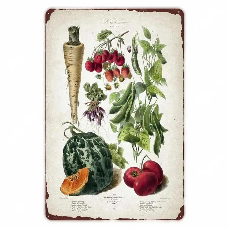 Retro Vegetable Plants Poster Vintage Fruits Metal Tin Sign Cauliflower Wall Art Sign Garden Kitchen Farm Flowers Plate Decor