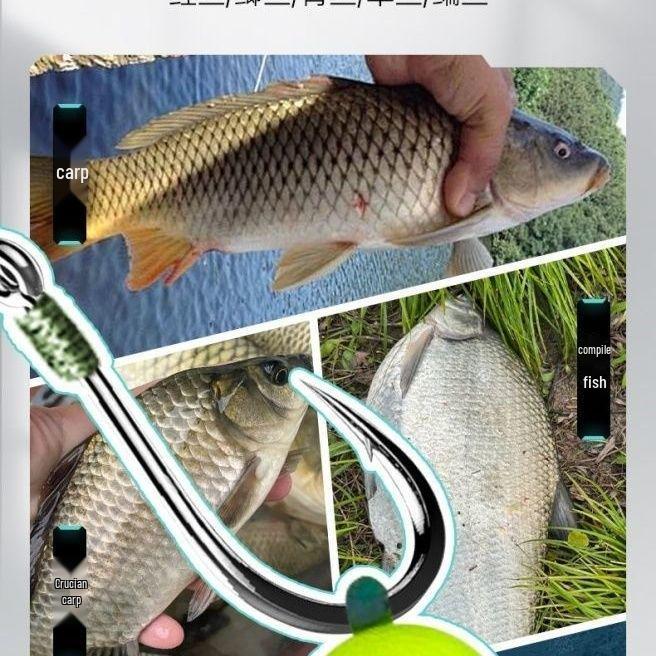 Montaje de Pesca de Fondo para Carpa con Micro-Plomo y Perla para Lago, Embalse y Pesca Salvaje