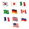 Tragbare und dennoch robuste Weltnationalflaggen-Anstecker, ideal für Sportveranstaltungen und Outdoor-Aktivitäten