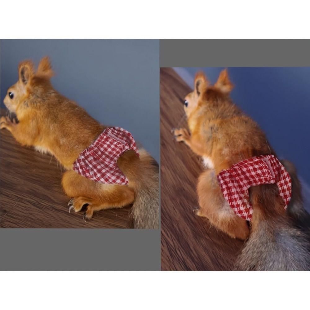 Flexible Closure Pet Training Pants Potty Training Small Pet Diapers Squirrel Diapers  Groundhogs