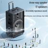 Newmine N527 15-inch Portable Bluetooth KTV Speaker (CN Version)