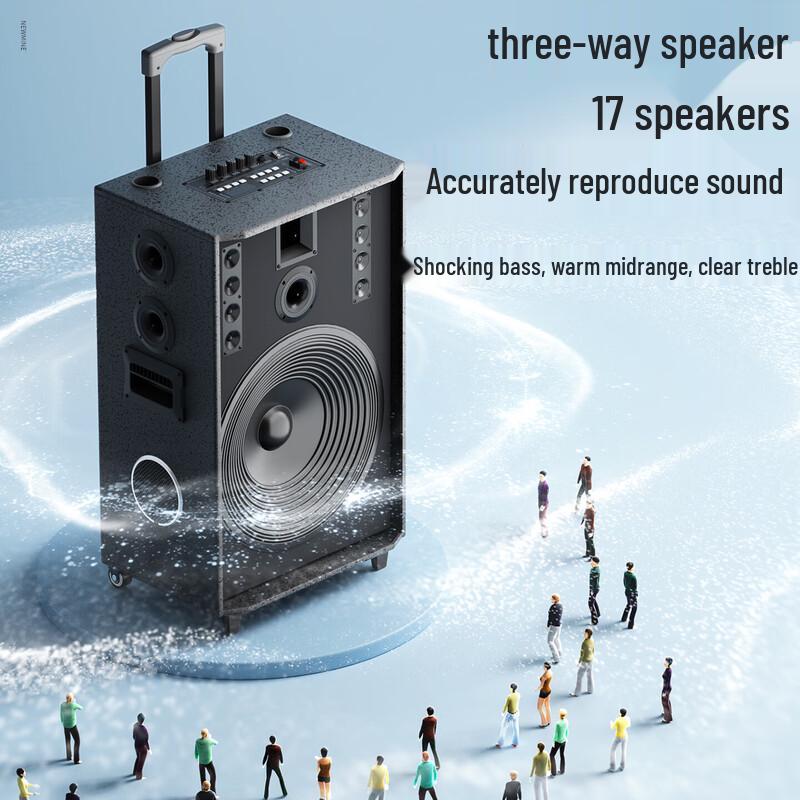 Newmine N527 15-inch Portable Bluetooth KTV Speaker (CN Version)
