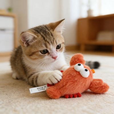 Peluche Morso Giocattolo per Gatti Granchio Aragosta Morbidi Giocattolo Erba Gatta Frutti di Mare Ripieni Giocattolo per la Dentizione Gattini per Gatti Gioco Autonomo Arricchimento e Istinto di Masticazione