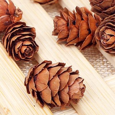 Natural Pine Cones 2-3Cm Pine Balls Pine Flowers Dried Flowers Plants Christmas Decoration Ornaments Accessories Micro Landscape Shooting
