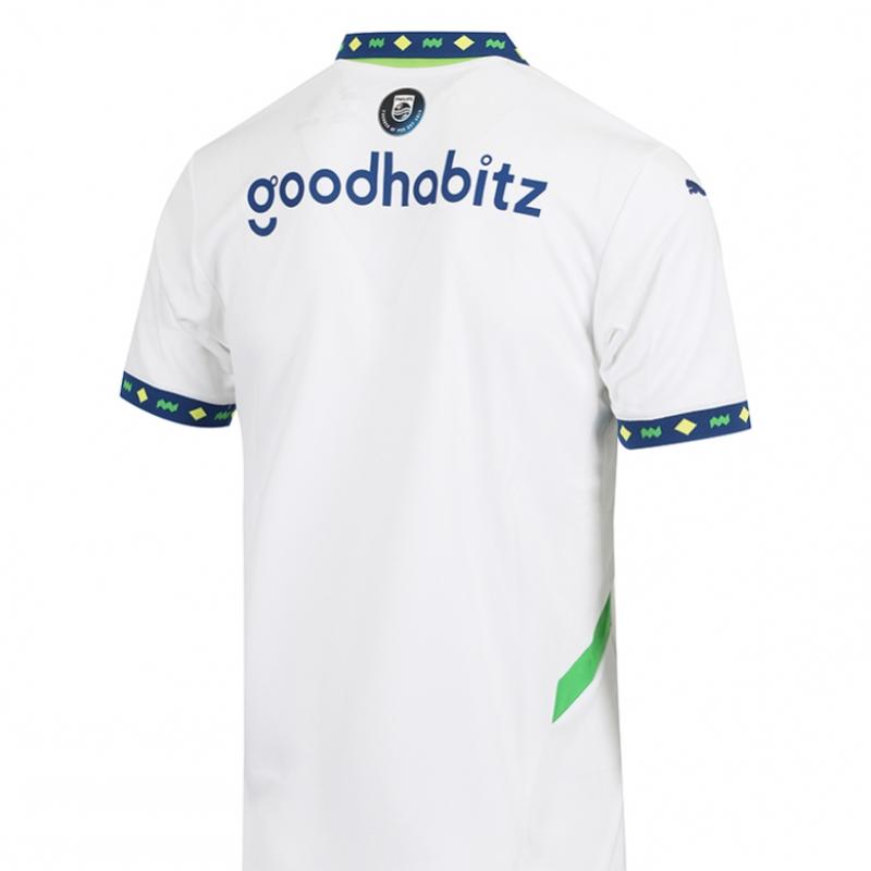 Puma Psv Eindhoven 2024 25 Third Jersey