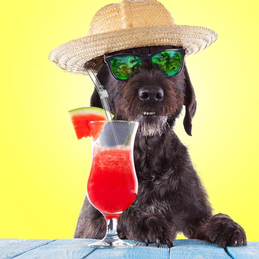 6 Pcs Glass Straw with Design Shatter Resistant Reusable Clear Bent Cute Straws 8 mm x 7.9 Inch with 2 Pcs Cleaning Brush for Drinking Smoothie