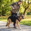 Adjustable Dog Lift Harness Thickened Grip Pet Auxiliary Vest Pet Support Sling  Disability Aid