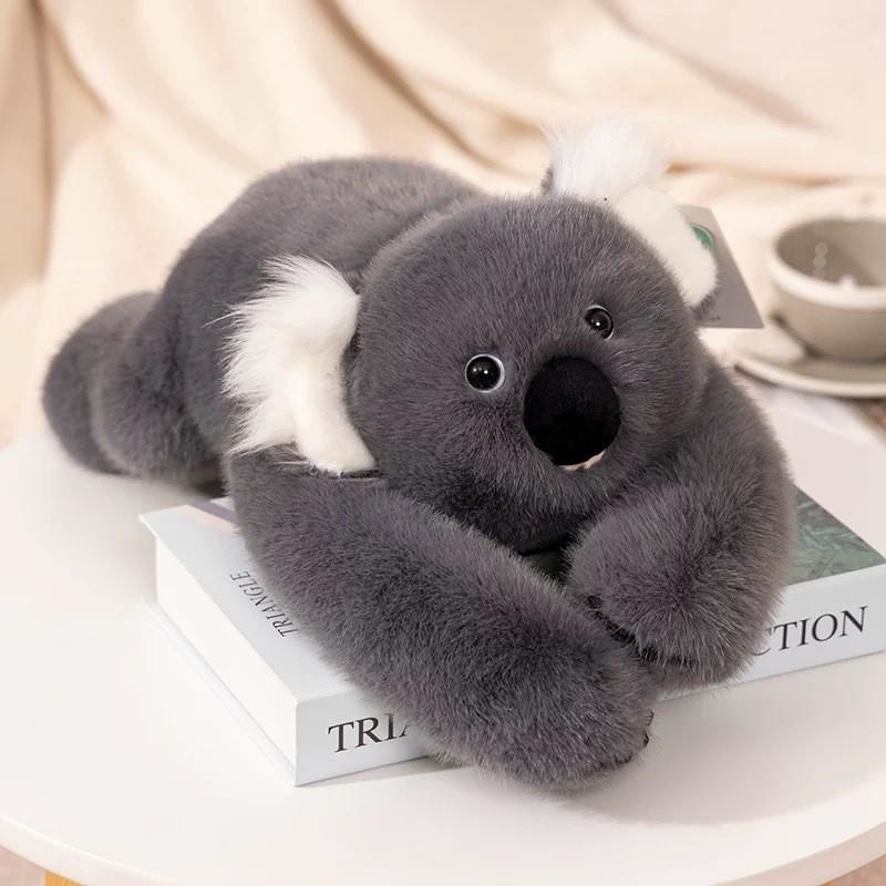 Back Treasure Plush Toy: Panda, Koala, Raccoon, Dinosaur Cloth Doll & Hugging Pillow for Kids