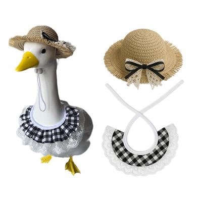 Pájaros – Ropa para aves