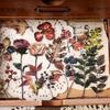 Plant Leaf Flower Themed Sticker Adheisve PET Sticker for Scrapbooking Journal Planner Phone Case Photo Album