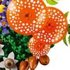 Compatible with Lego Lego Flower Plant Series 11505 Forest Mushroom Educational Building Block Toys for Boys and Girls
