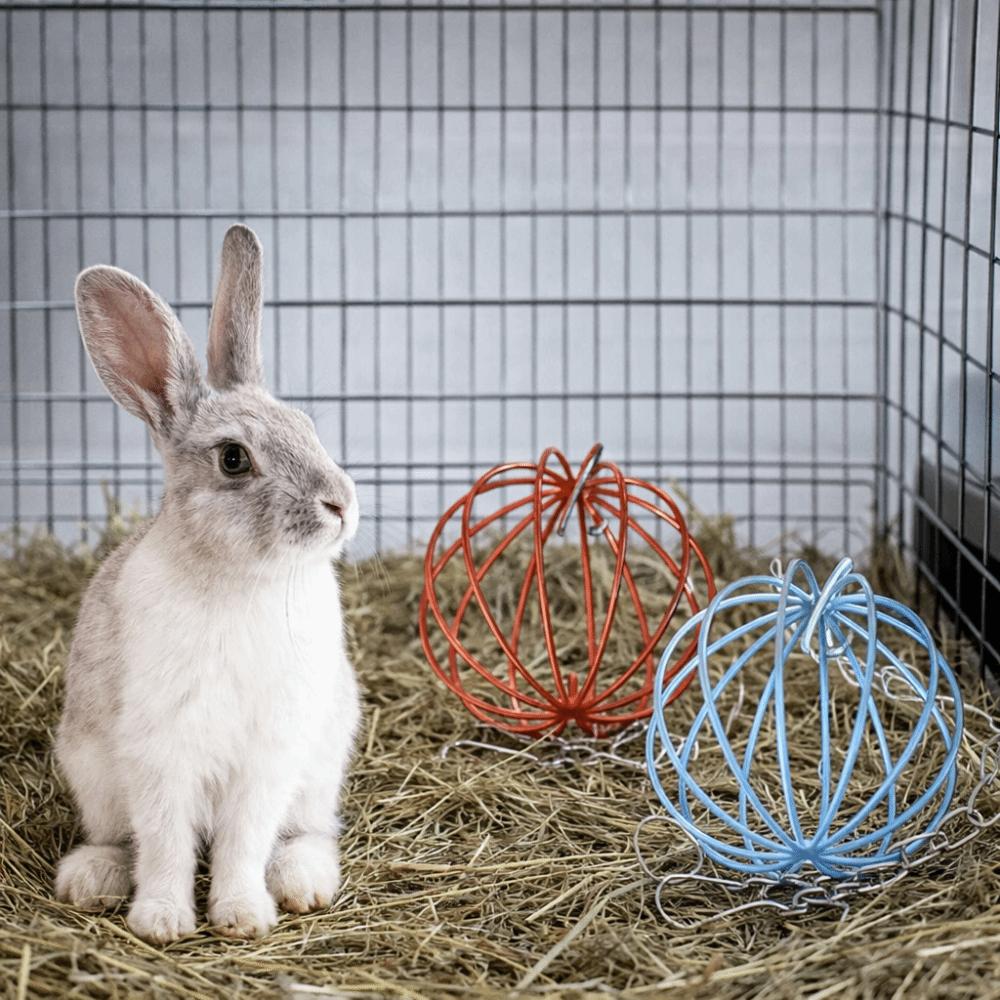 Round Rabbit Grass Feeder Wear-resistant Hay Feeder Ball Suspending Feeder For Small Pets
