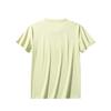 Anta Comfortable Casual Simple Versatile Round Neck Pullover Short Sleeve T-Shirt Women T-Shirts Pistachio-Green 962528115-8