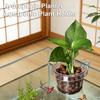Aquarium Plant Holder Fish Tank Clear Hydroponic Planter Aquaponic Plant Holder Basket for Fish Tank Aquascape Decoration