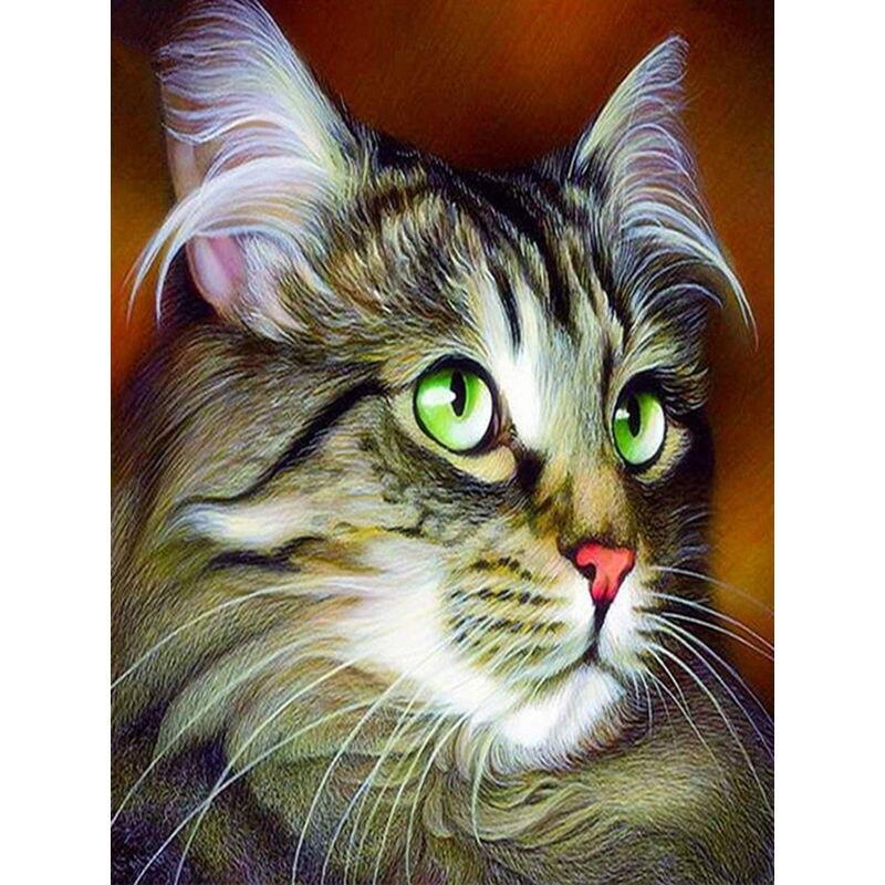 

60x75 см Рамка 5D DIY Алмазная картина Полная дрель Кошка Животное Распродажа Алмазная вышивка Мозаичная картина Украшение дома Full Round 20x30CM