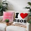 Rock 5 Seconds of Summer Band Pillow Case Anti-dustmite Pillow Invisible zipper silky short plush Sofa cushion cover