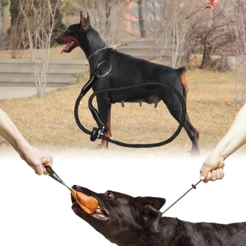 Durable And Comfortable Pet Training Choke Rope For Large Dogs Black Nylon Design