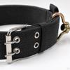 Nylon Webbing Dog Collar, Adjustable, Durable, for Small, Medium, Large Dogs, Walking, Training