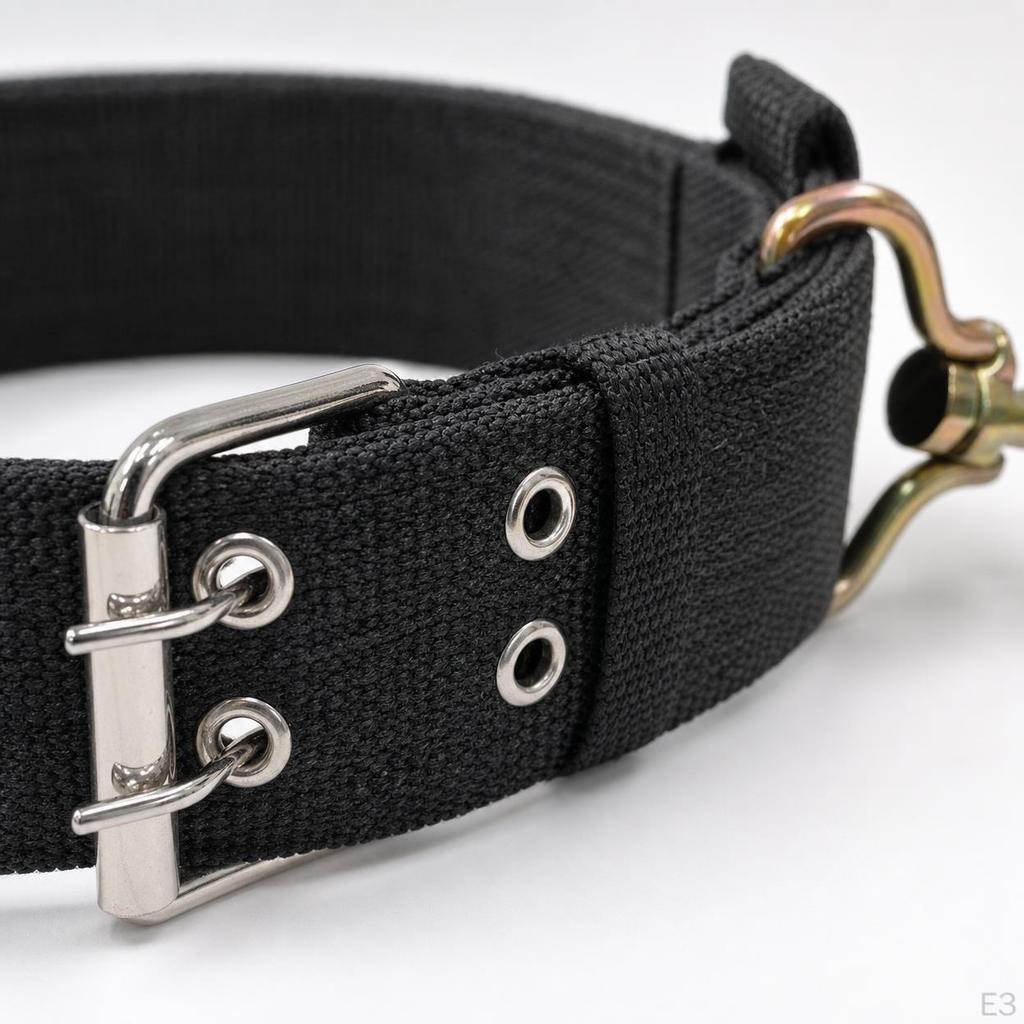 Nylon Webbing Dog Collar, Adjustable, Durable, for Small, Medium, Large Dogs, Walking, Training