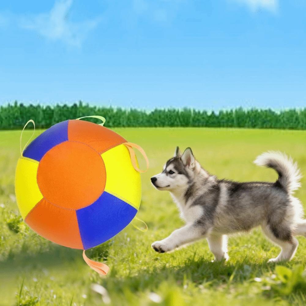 Wear Resistant Giant Herding Ball Tear-Resistant Dog Training Ball Interactive Dog Toy  Training