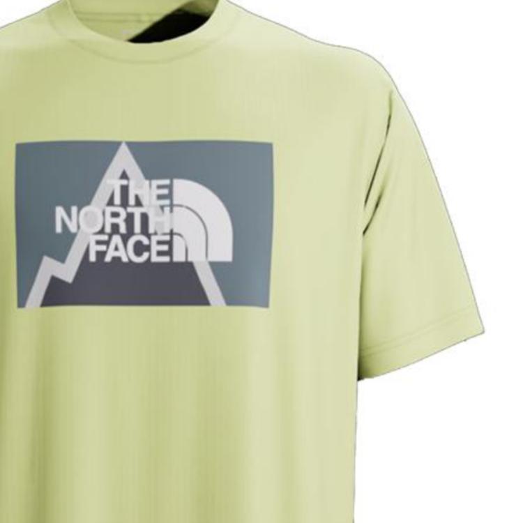 THE NORTH FACE T Shirt Unisex Green NF0A7WDY-HDD
