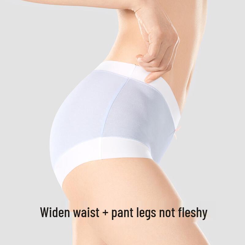 SecretWorld Women's High-Waist Cotton Antibacterial Briefs