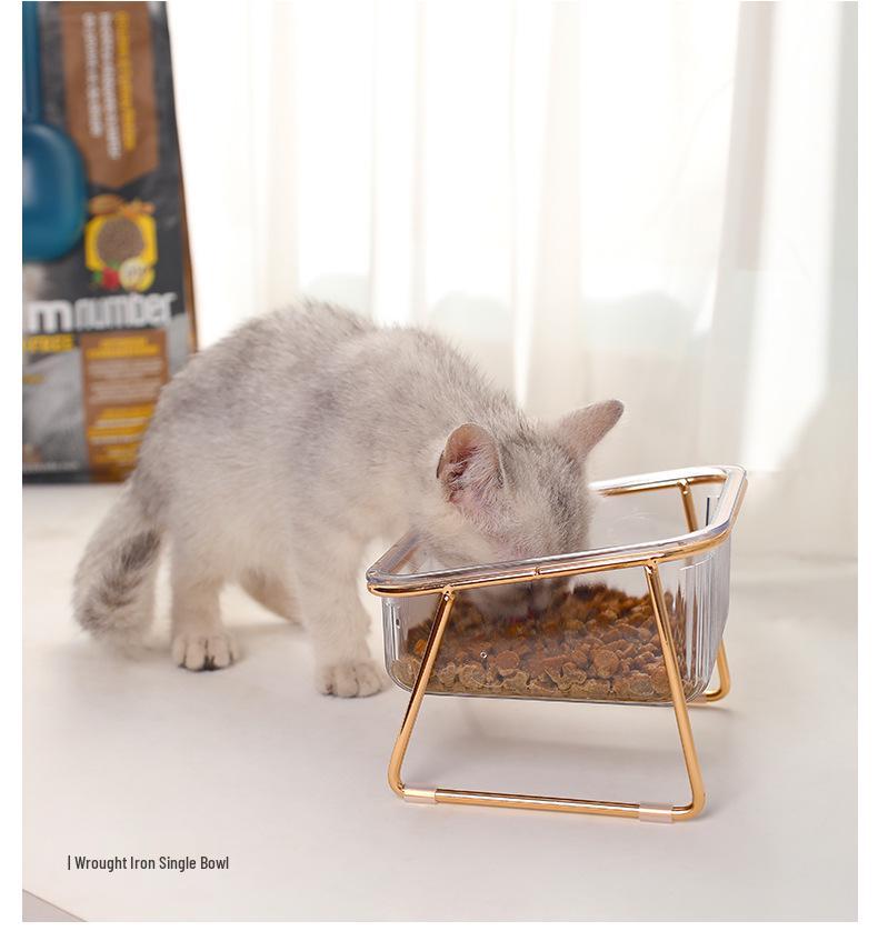 Double Bowl Raised Cat Feeding Set: Anti-Tip, Transparent Design for Cats