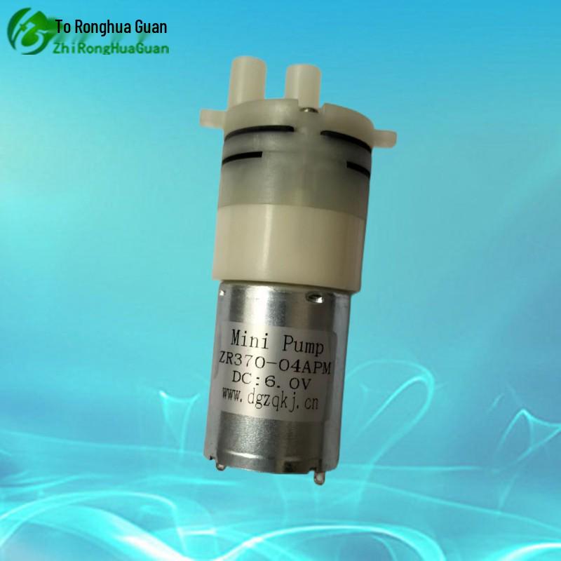 Ronghua Miniature Electric Self-Priming Water Pump for Household Use