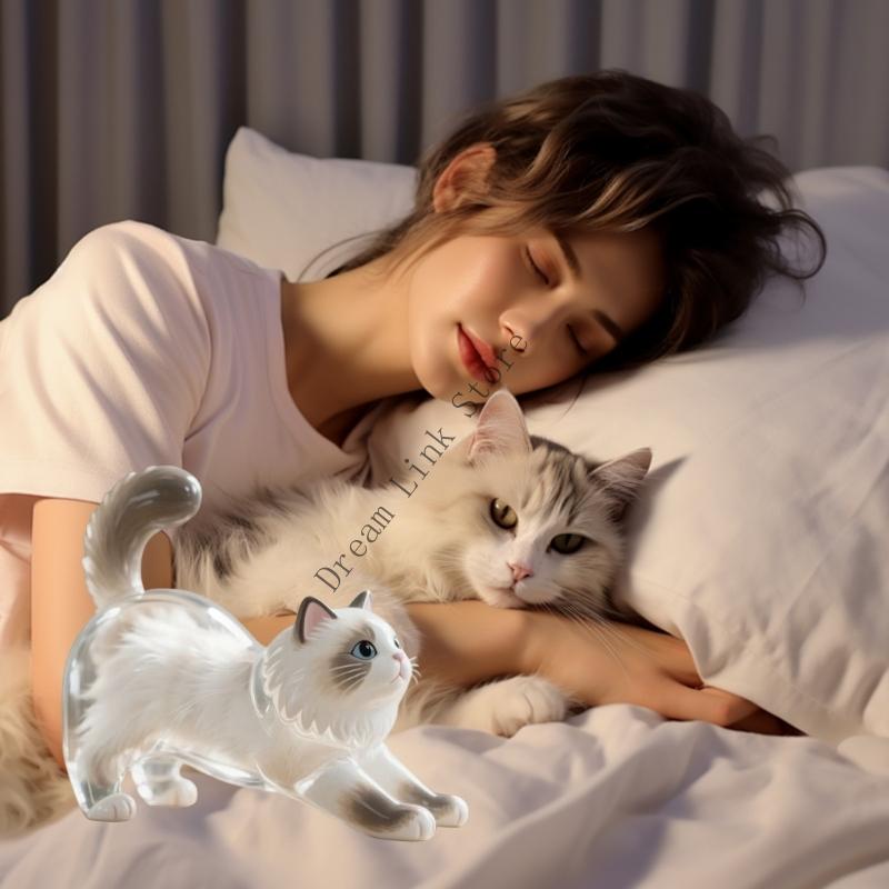 Creative Cats Hair Keepsakes Display Box For Pet Lover Gift Plastic Clear Decorative Container To Preserve Furs Memory