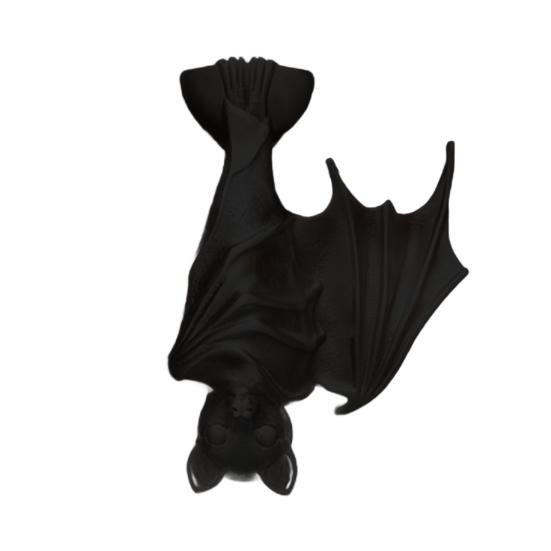 Halloween Fledermaus Türklopfer Gotisch Gruselig Umgedrehte Fledermaus Haustür Tor Klopfer Griff Zuggriff Spukhaus Heimdekoration Türzubehör