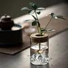 Clear Glass Mini Hydroponic Vase for Small Plants and Succulents