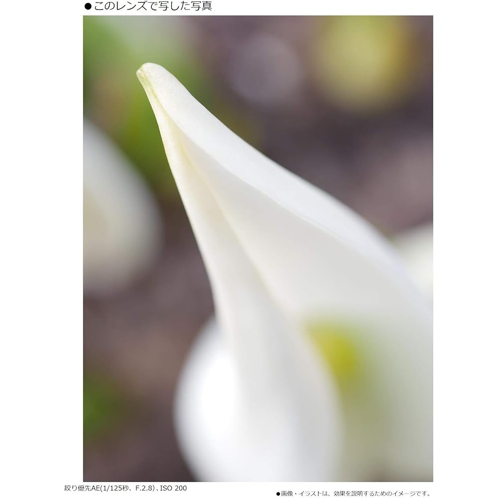 Panasonic LUMIX G MACRO 30mm/F2.8 ASPH. / MEGA O.I.S. H-HS030 Black (Fixed Focal Length Macro Lens for Micro Four Thirds)