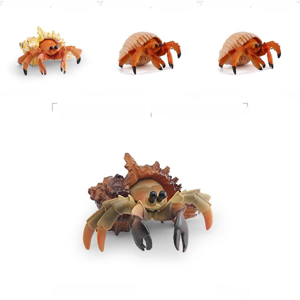Simulation Marine Animal Pvc Hermit Crabs Sculpture For Kids Learning And Decorative Collection