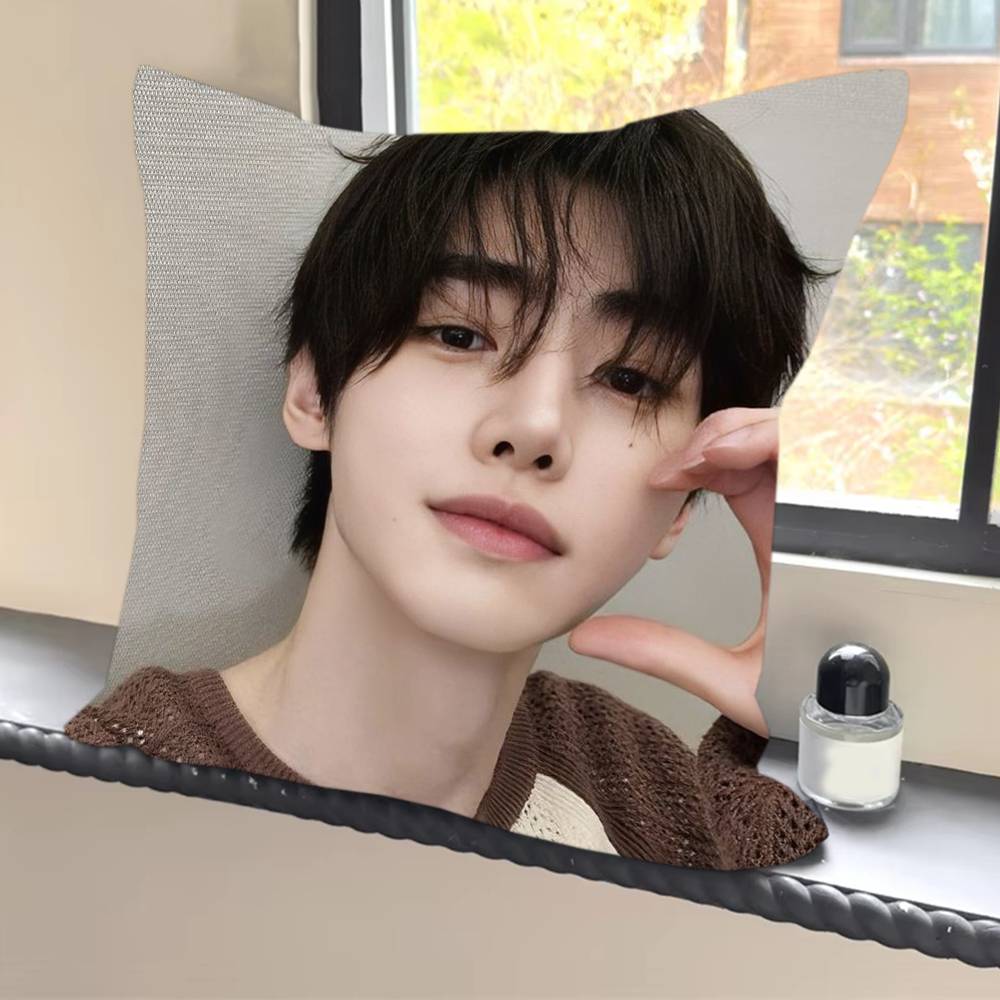 Federe fodere cuscini divani soggiorno decorazioni per la casa regali Park S-ung-hoon Cantante Pop